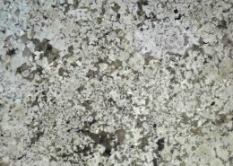 Winter White Granite at Barra & Trumbore