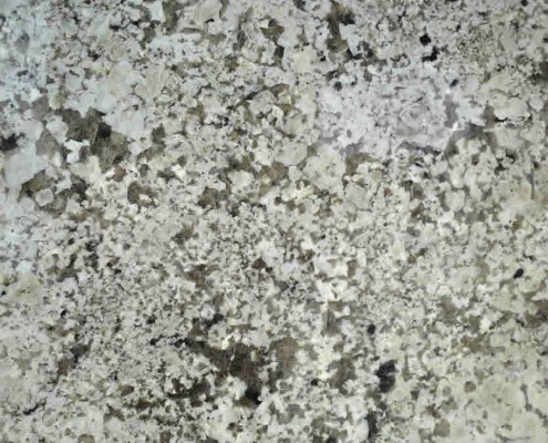 Winter White Granite at Barra & Trumbore